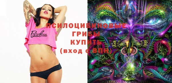 PSILOCYBIN Краснослободск
