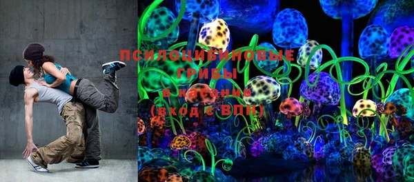 PSILOCYBIN Краснослободск
