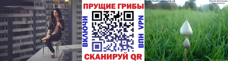 Купить где  Красноперекопск  Псилоцибиновые грибы MAGIC MUSHROOMS 